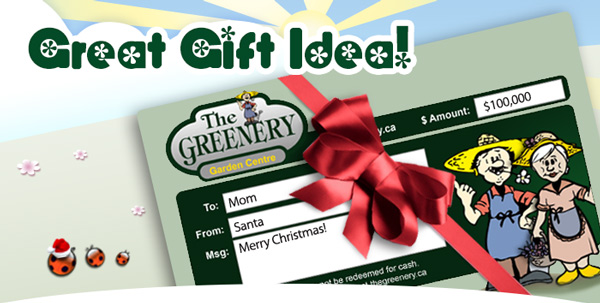 Greenery Gift Idea Idea