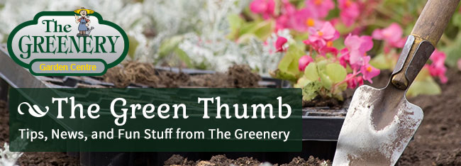 Greenery Newsletter TGGC