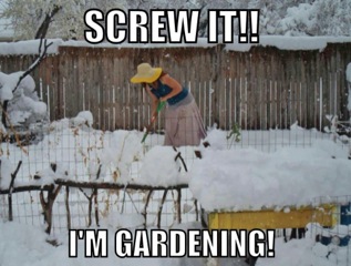 Gardening Meme