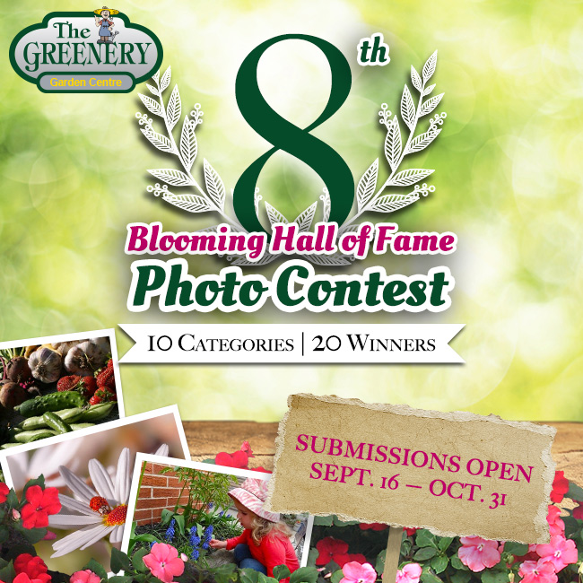 Blooming Hall of Fame Photo Contest 2014