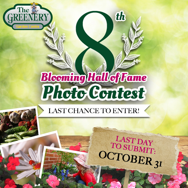 Blooming Hall of Fame Photo Contest 2014