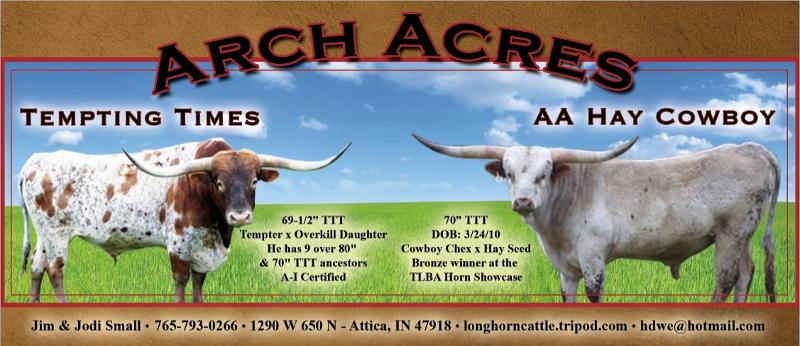 Arch Acres_James Small