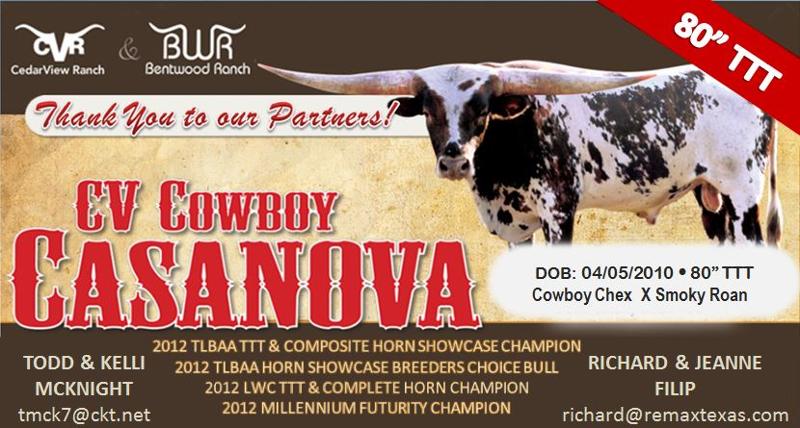 CV Cowboy Casanova 80TTT
