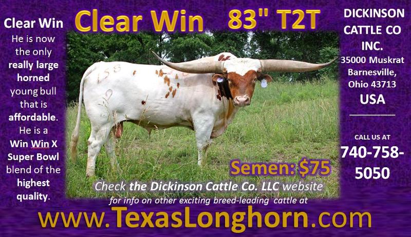 ClearWin 83 T2T_E-Drover ad.jpg