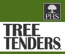 TTF PHS TREE TENDERS 