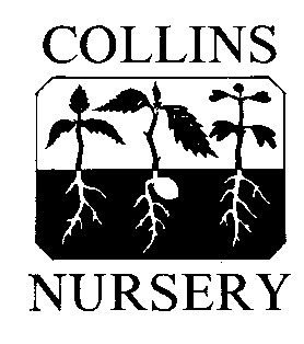 Collins Nursery 