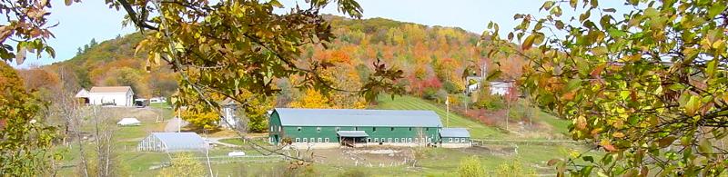 Livestock Farm with green barn