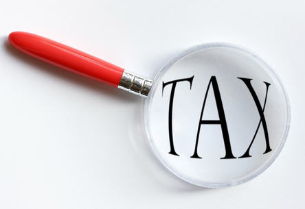 Tax Magnifier