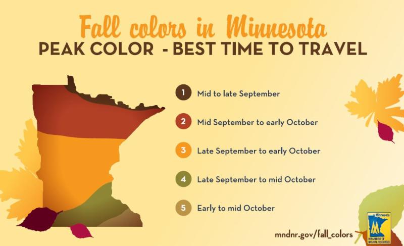 Fall Color map for Minnesota