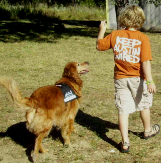 Autism program working with dogs