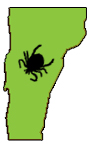 Vermont Tick
