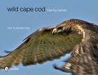 wild cape cod