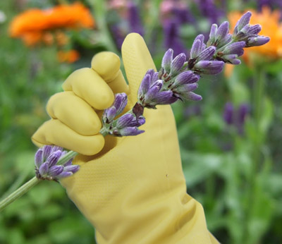 cleaning glove