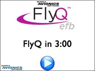 FlyQ in 3 Minutes