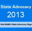 state-advocacy-2013
