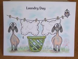 Sheep on Laundry Day