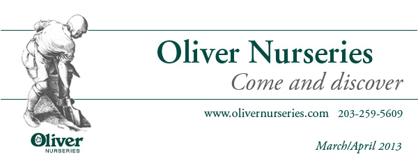 Oliver Nurseries