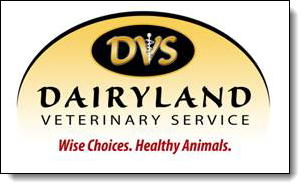 Dairyland Veterinary Service