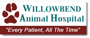 Willowbend Animal Hospital