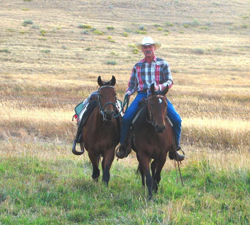 Wyoming Equine-Dr Connally