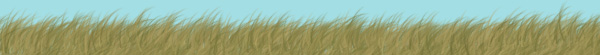 wheat-field-banner.jpg