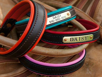 Daisy1010 collars