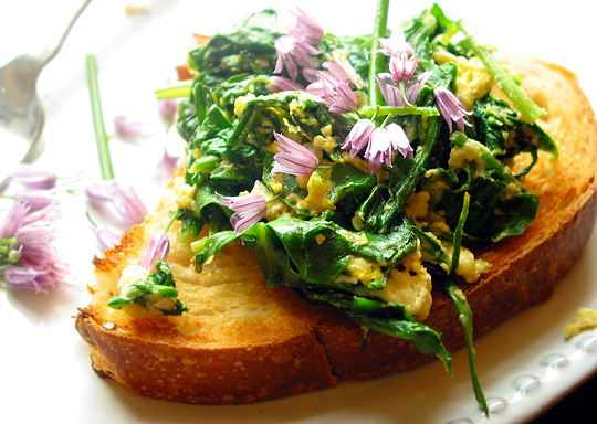 Chive Blossoms on Toast 