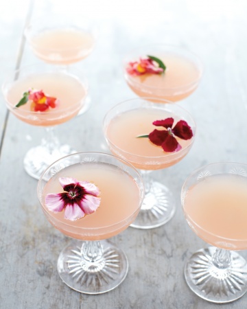 Lillet Rose - Brucnch Cocktail 
