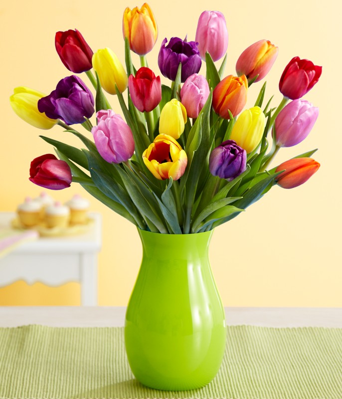 Colorful Tulips 