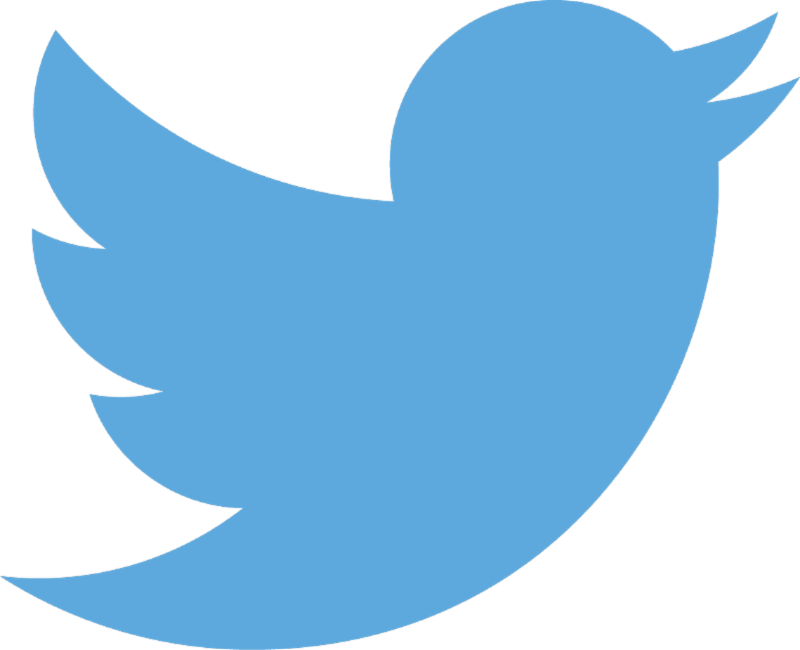 Twitter Logo Bird