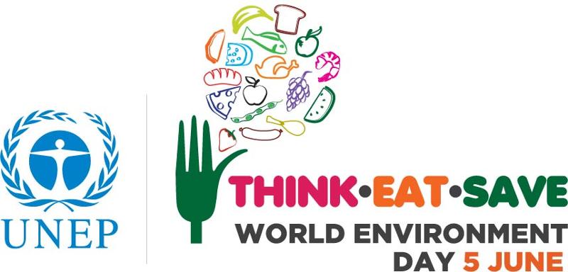 World Environment Day 2013 logo