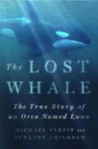 Lost Whale book...ver scaled