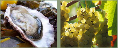 Oysters & Melon de Bourgogne