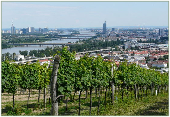 Austria: Wein & Wien