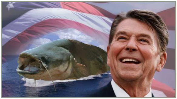 Catfish & Reagan