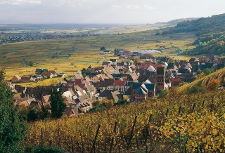 Alsace - Pfaffenheim