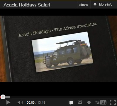 Acacia Video