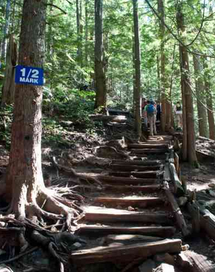 Grouse Grind pic