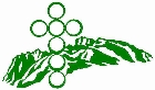 huston green logo