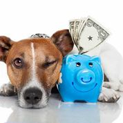 DOG WITH PIGGY BANK