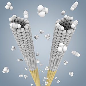 USC Nanotube