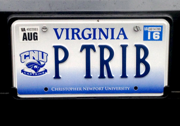 P trib plate