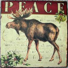 Peace Moose