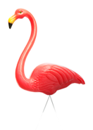 footer flamingo