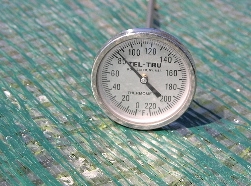 Thermometer on covered green