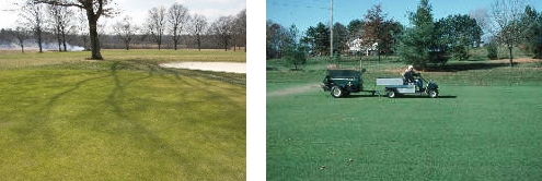 Shade and topdressing images
