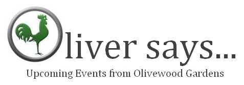 Oliver Says header
