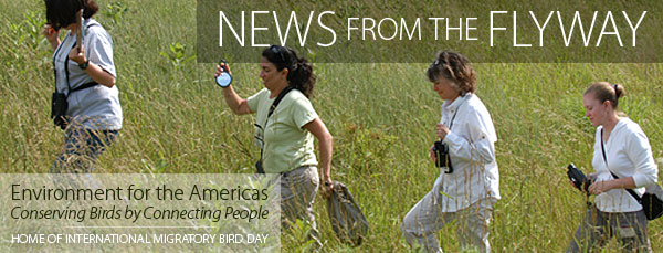 News from the Flyway - Environment for the Americas - Home of IMBD