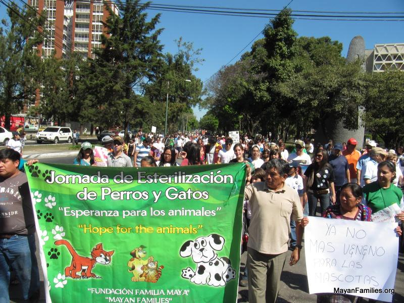 Marching for Animal Rights!