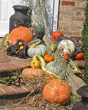 Beautiful fall harvest display on the front porch steps at Viette's